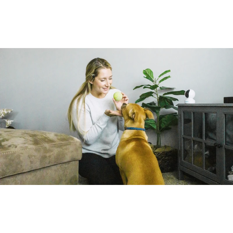 Reolink E1 ZOOM Wifi