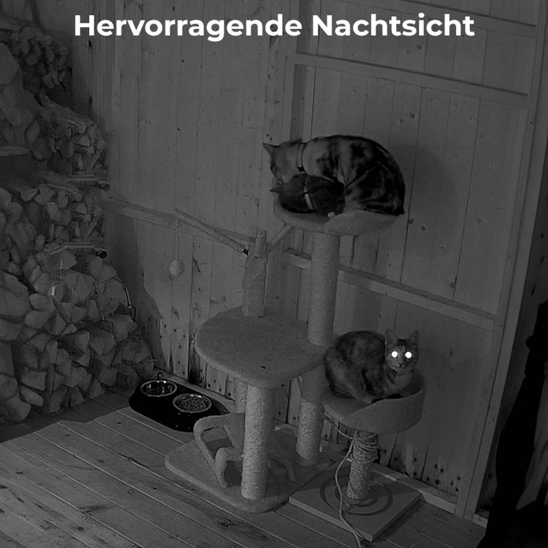 Reolink E Series E330