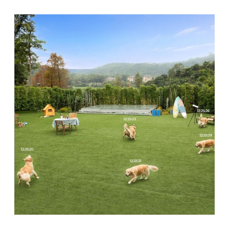 Reolink Duo Series P757