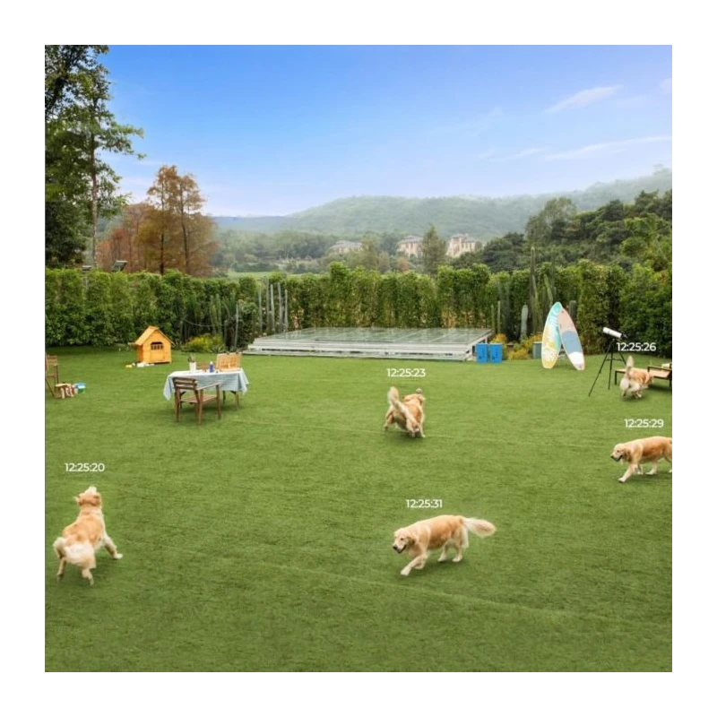 Reolink Duo Series P757