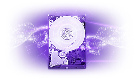 WD purple