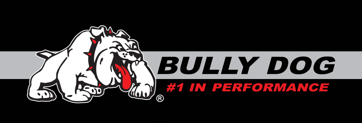 BullyDog